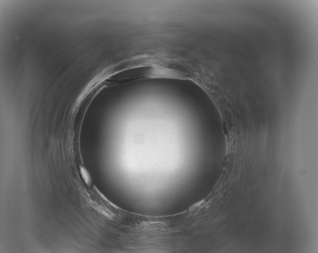 X0000080670150200612221126