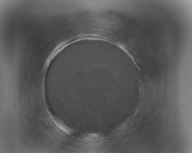 X0000080670151200612221126