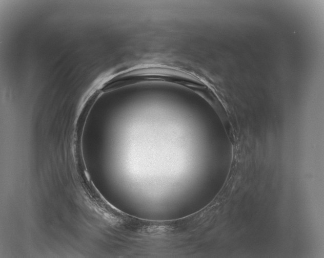 X0000080670152200612221126