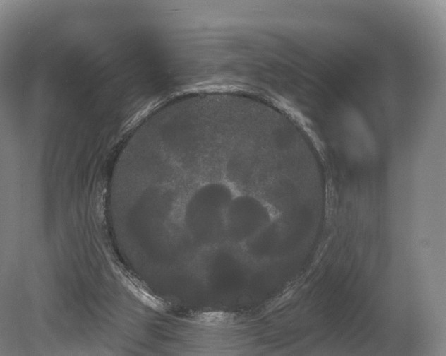 X0000080670153200612221126