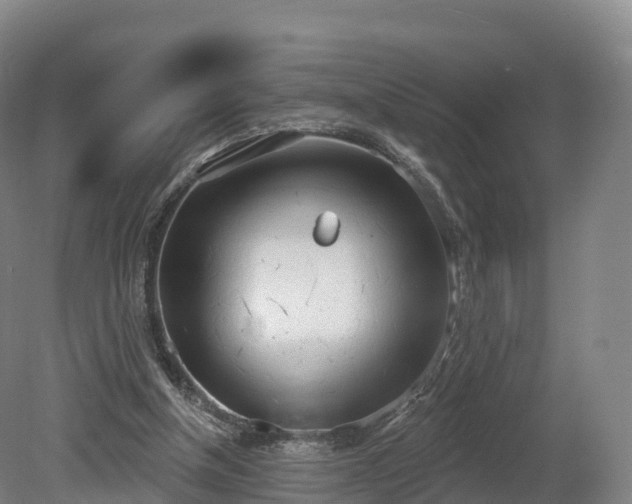 X0000080670154200612221126