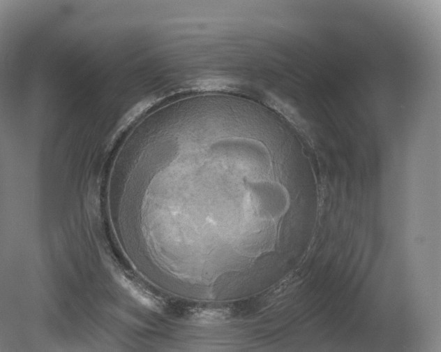 X0000080670155200612221126