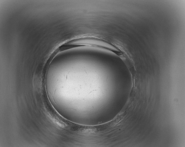 X0000080670156200612221126