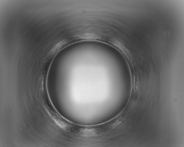 X0000080670157200612221126