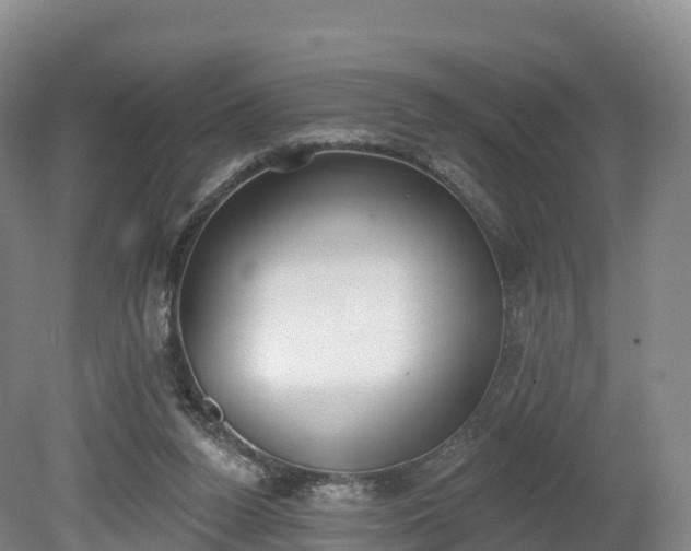 X0000080670160200612221126