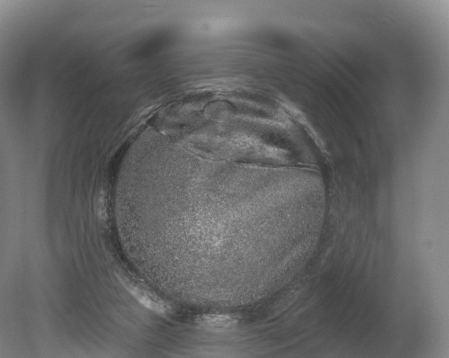 X0000080670161200612221126