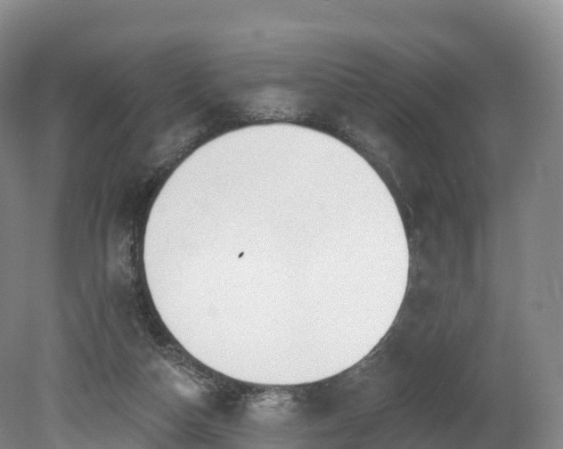 X0000080670162200612221126