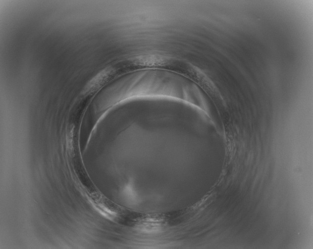 X0000080670163200612221126