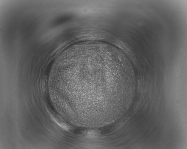 X0000080670165200612221126