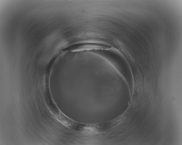 X0000080670167200612221126