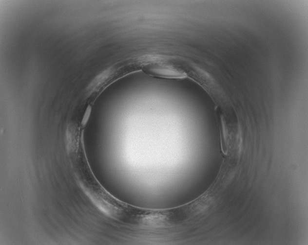 X0000080670168200612221126