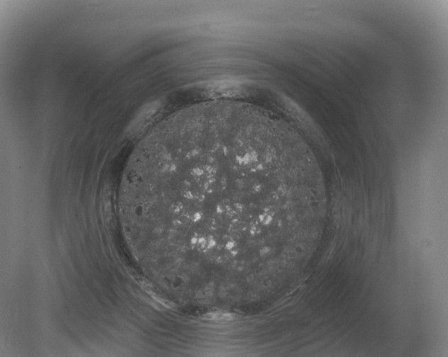 X0000080670169200612221126