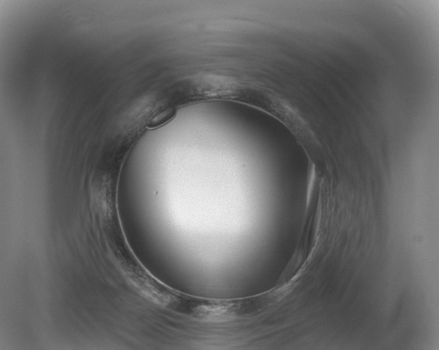 X0000080670170200612221126