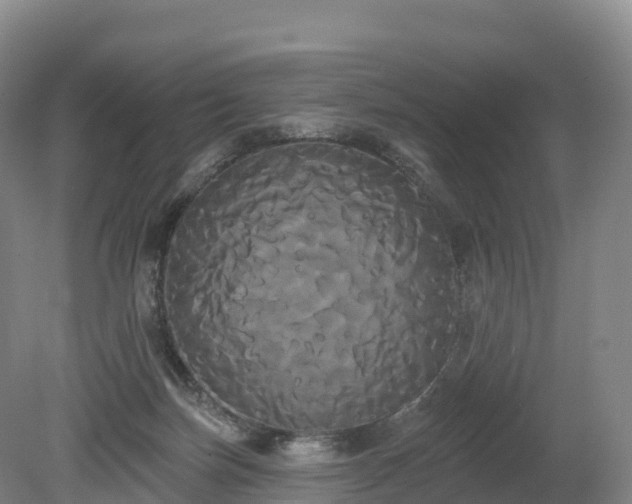 X0000080670171200612221126