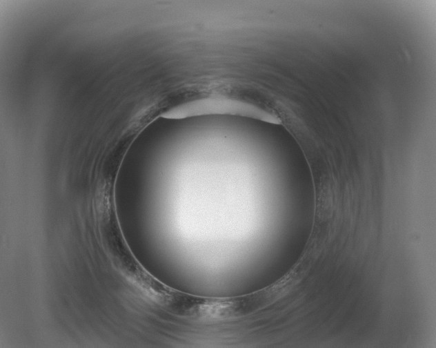 X0000080670172200612221126