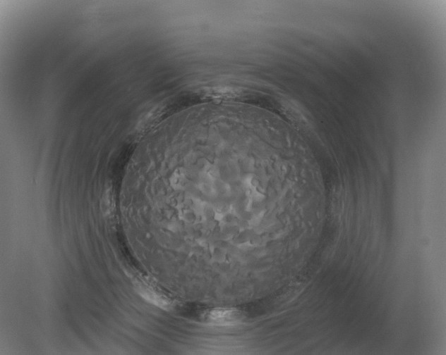 X0000080670173200612221126