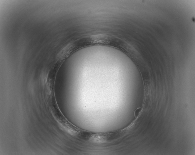 X0000080670174200612221126