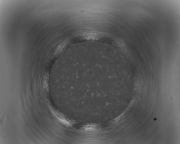 X0000080670175200612221126