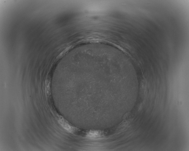 X0000080670177200612221126