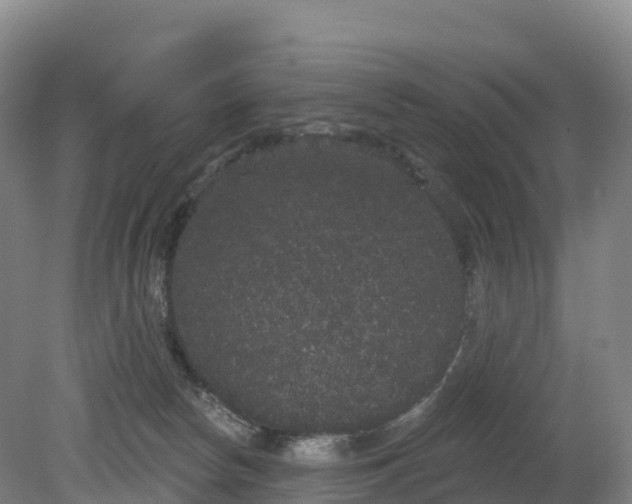 X0000080670178200612221126