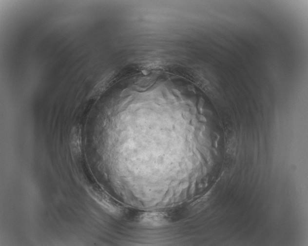 X0000080670179200612221126