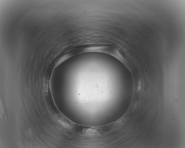 X0000080670180200612221126