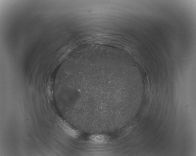 X0000080670181200612221126