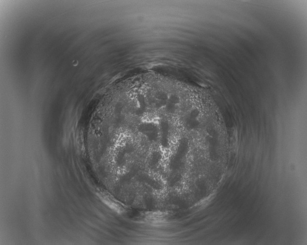 X0000080670182200612221126