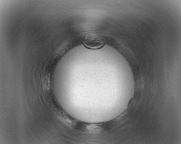 X0000080670183200612221126