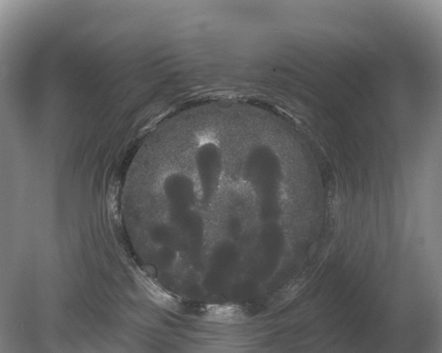 X0000080670185200612221126