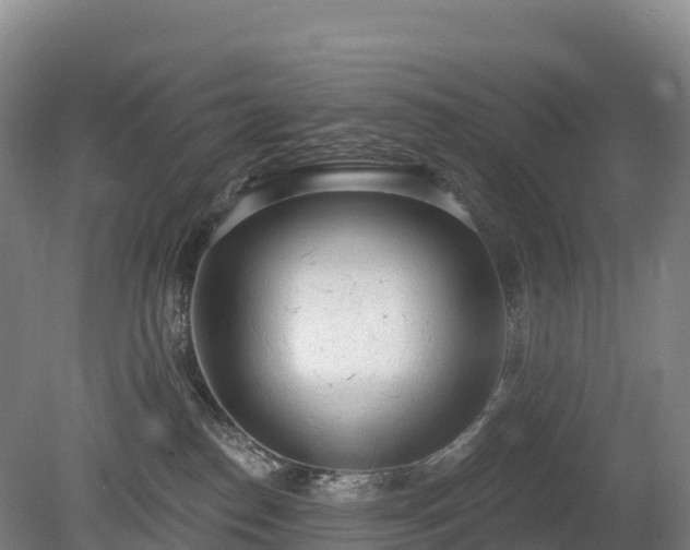 X0000080670186200612221126