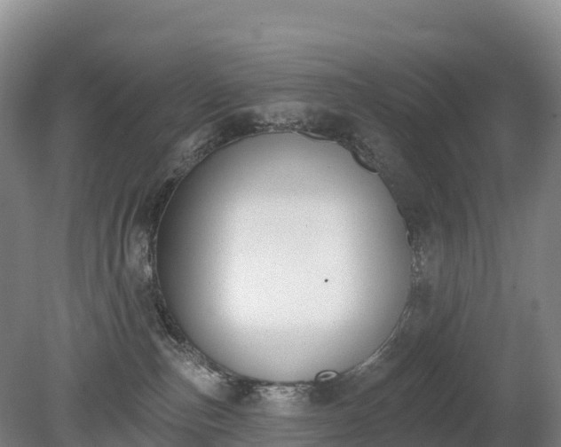 X0000080670187200612221126