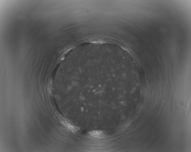 X0000080670189200612221126