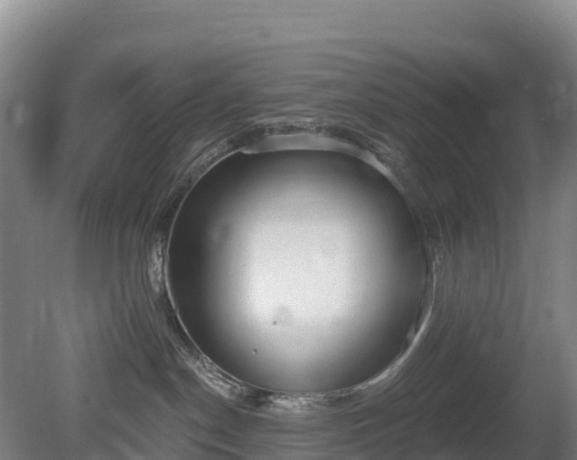 X0000080670190200612221126