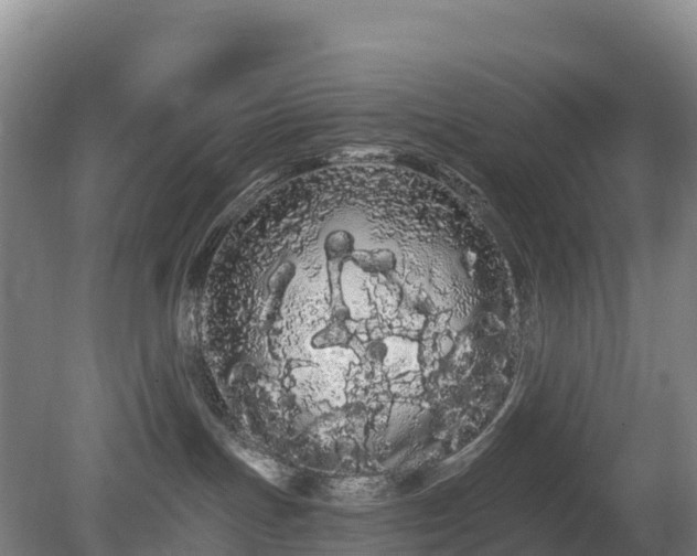 X0000080670191200612221126