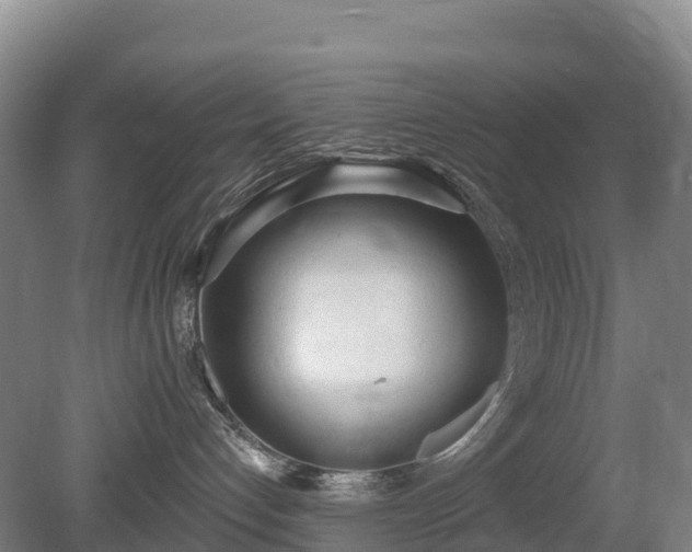 X0000080670192200612221126