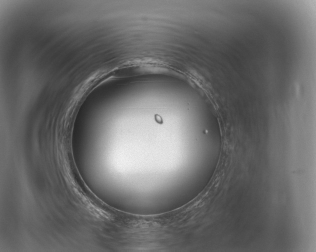 X0000080670193200612221126