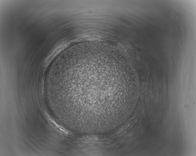 X0000080670194200612221125