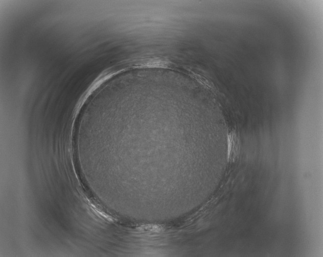 X0000080670195200612221125