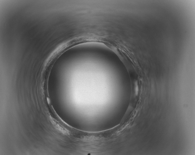 X0000080670197200612221125