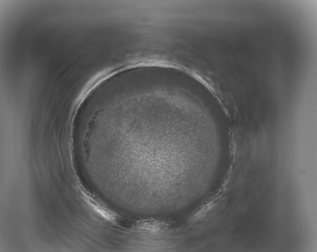 X0000080670199200612221125