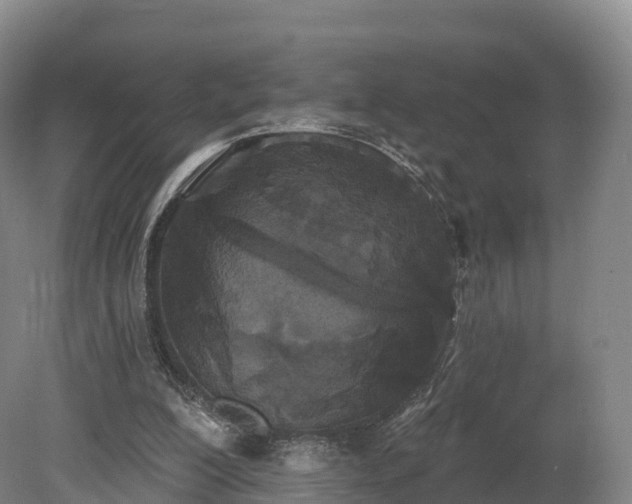 X0000080670200200612221125