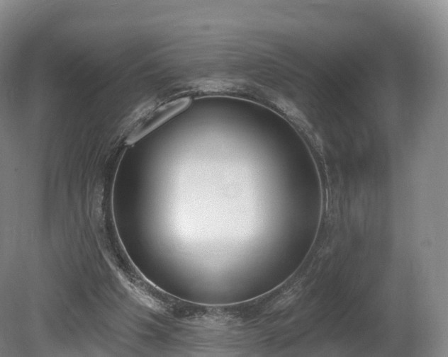 X0000080670201200612221125