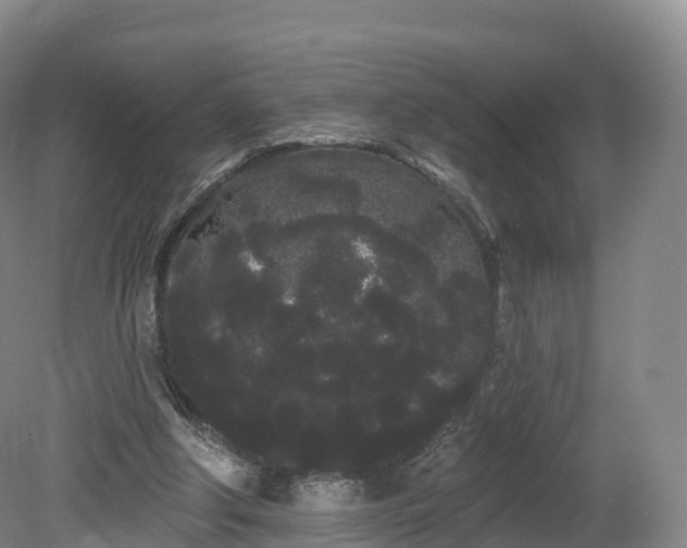 X0000080670202200612221125