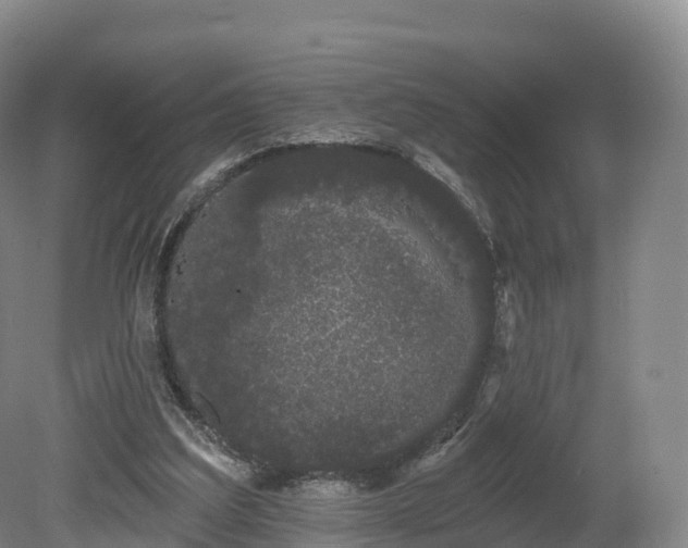 X0000080670203200612221125