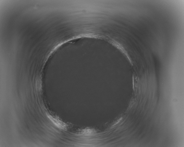 X0000080670204200612221125