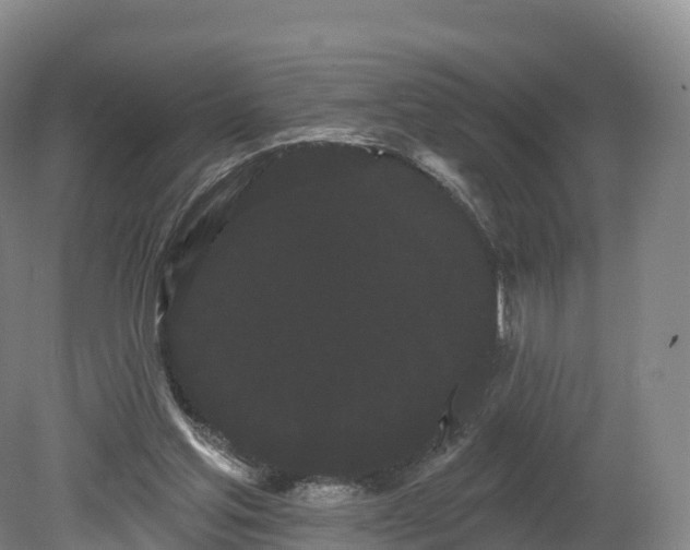 X0000080670205200612221125