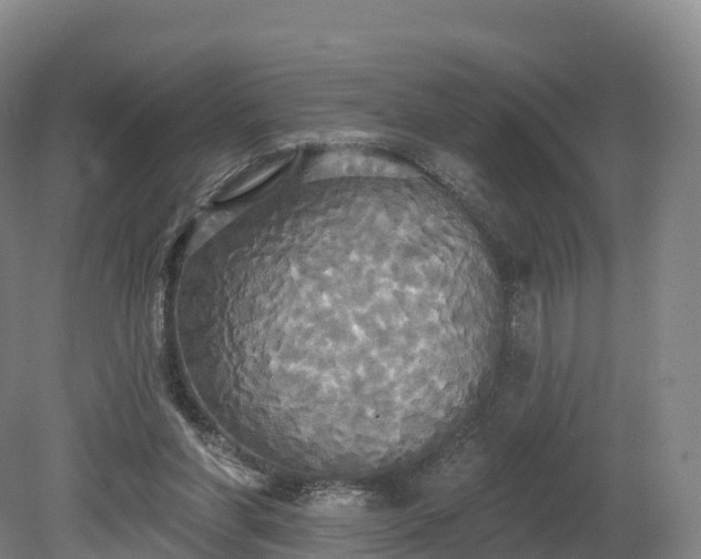 X0000080670206200612221125