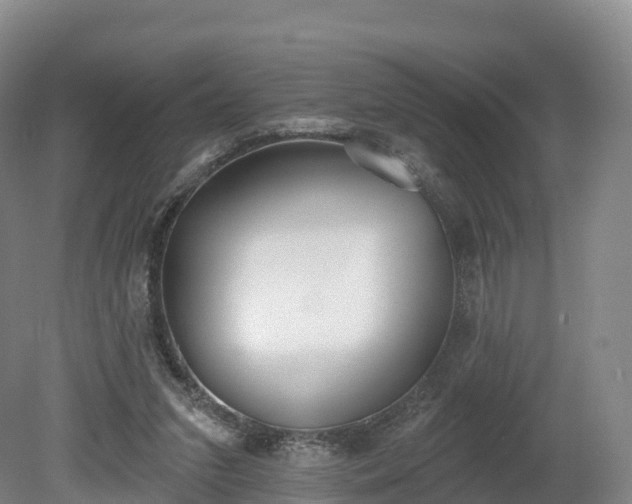 X0000080670207200612221125