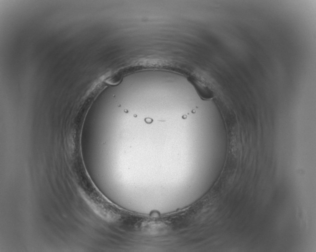 X0000080670208200612221125